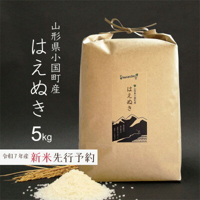 【ふるさと納税】新米先行予約 はえぬき 精米 5kg 令和7年産 山形県小国町産【1518649】