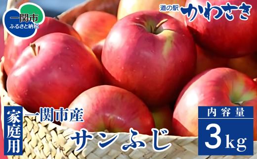 【先行予約】りんご サンフジ 3kg セット 旬のりんご 11月頃から順次発送