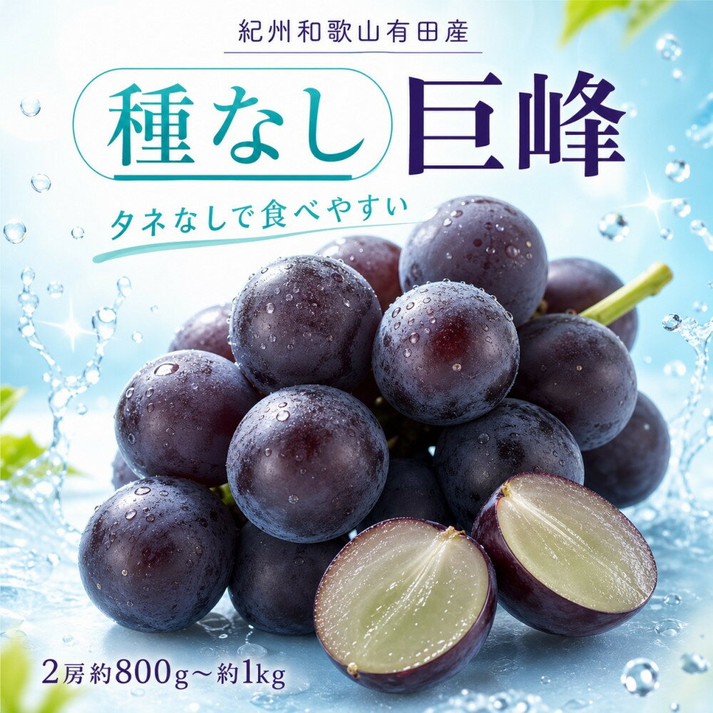 【ふるさと納税】紀州有田産の種なし巨峰ぶどう2房（約800g〜1kg）【2026年発送 先行予約】 | 有田川町 巨峰ぶどう 甘味 人気 おすすめ フルーツ 果物 ぶどう 旬 贈答用 お取り寄せ 送料無料 ふるさと納税