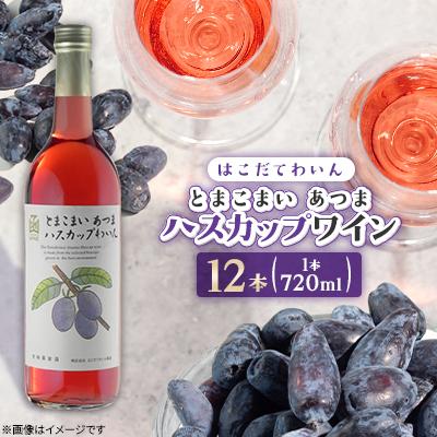 ふるさと納税 七飯町 とまこまい あつまハスカップワイン　720ml　12本