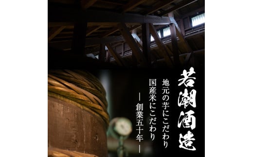 a5−０７３　志布志　25度・プレミアムブルー20度　計４本　「ザ・ファブル」に掲載！