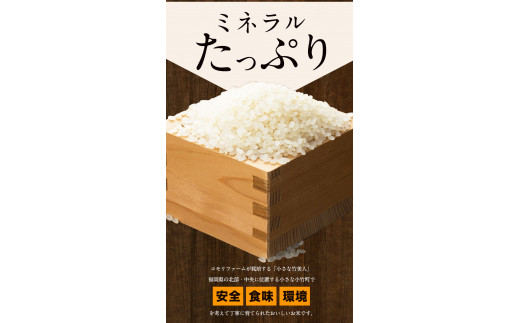 令和5年産 小さな竹美人 精米 4kg(2kg×2袋) 白米 精米 お米 米 コメ コモリファーム《30日以内に出荷予定(土日祝除く)》---sc_kmjasrsei_30d_23_13500_4kg