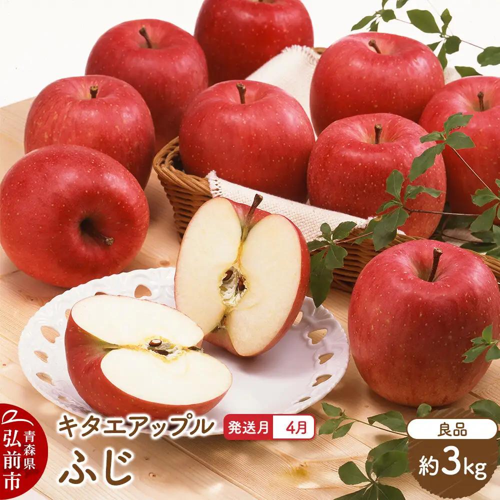 【27年4月クール便発送】りんご ふじ【良品】約3kg【CA貯蔵】キタエアップル 先行受付 クール便 青森県 弘前市 果物 フルーツ 林檎 リンゴ くだもの ギフト 贈り物 青森県 弘前市