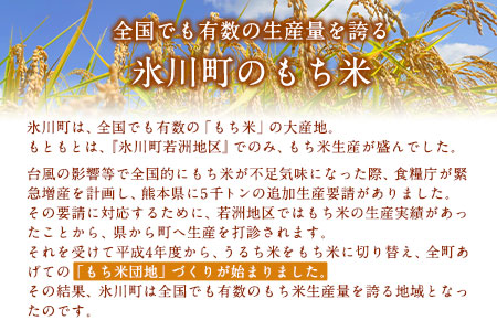 蓮華の花園(もち米) 10kg 精米 JAやつしろカントリー利用組合 熊本県 氷川町《30日以内に出荷予定(土日祝除く)》