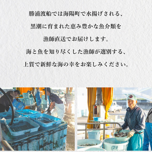 カツオ 藁焼き 3節 約700g 鰹 かつお わら焼き 鰹のたたき