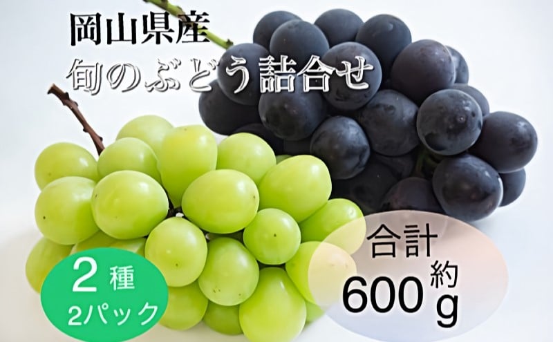 
            ぶどう 2025年 先行予約 旬のぶどう詰合せ 2種2パックセット(ニューピオーネ1房約300g×1P、シャインマスカット晴王1房約300g×1P) [№5735-2064]
          