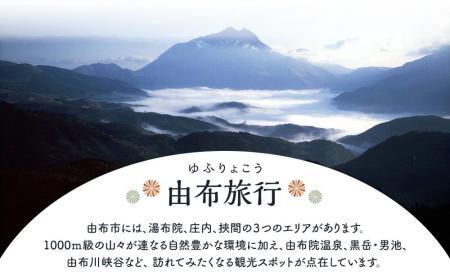 【由布市（湯布院、由布院、湯平、塚原高原）】ふるさと納税宿泊補助券6,000円分