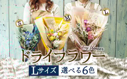 好きな色で選べる！阿蘇のドライフラワー（Lサイズ／全6色）【子】Lサイズ：白系