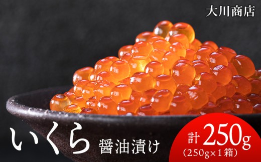 9月30日受付終了いくら醤油漬け250g1箱＜大川商店＞