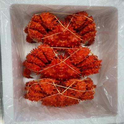 ふるさと納税 根室市 【北海道根室産】花咲蟹3尾(計1.3〜1.6kg) A-27026 |  | 01