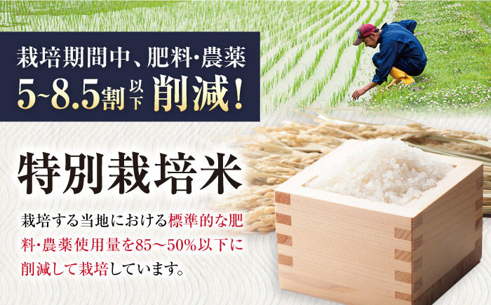 特別栽培 ミルキークイーン 5kg 玄米 ×2袋　米 お米 玄米  10kg