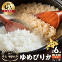 【ふるさと納税】【先行予約】◇令和6年産◇おたる木露ファーム 余市産 ゆめぴりか(精米・玄米) 合計6kg(3kg×2)[ふるさとクリエイト] 米 ごはん ブランド 北海道米 精米 玄米 食べ比べ セット 北海道 余市町 送料無料