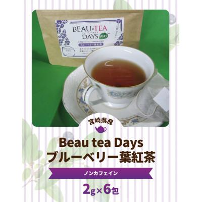 ふるさと納税 延岡市 Beau tea Days ブルーベリー葉 紅茶　2g×6包 |  | 01