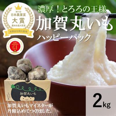 ふるさと納税 能美市 【日本農業賞大賞】加賀丸いもハッピーパック2kg(3〜6個)
