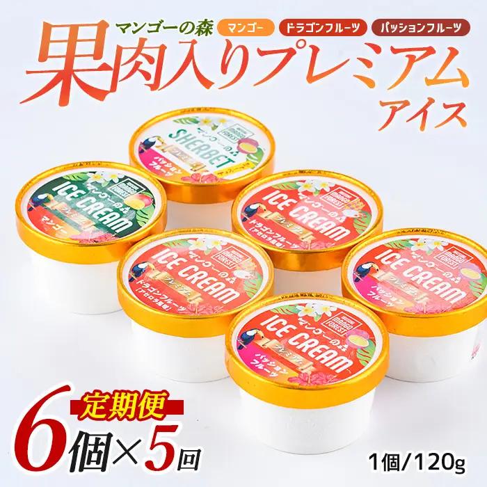 全５回 定期便 ゴロゴロ果肉入り アイス 6個入 スイーツ 定期便 マンゴーの森 IBZ040-003 定期便 定期便