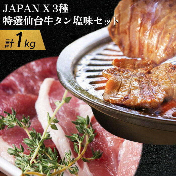 【ふるさと納税】JAPANX3種800gと特選仙台牛タン塩味200gセット JAPANX ロース モモ 小間 仙台牛タン 塩 計1kg 豚肉 牛肉 肉厚 JAL機内食 採用 食材王国みやぎ 大賞受賞 ふるさと納税 宮城県 白石 白石市【04155】