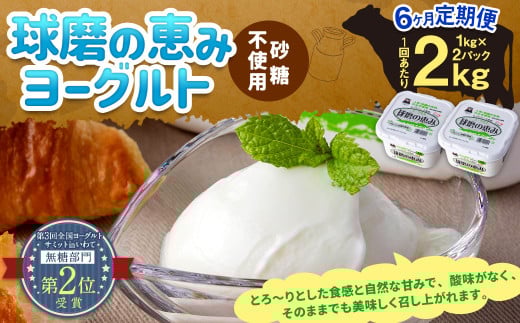 【3ヶ月定期便】 球磨の恵み ヨーグルト(砂糖不使用) 3kg(1kg×3パック)×3回 合計9kg ヨーグルト 無糖