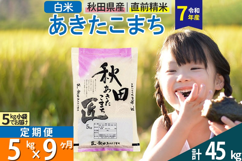 【白米】＜令和7年産＞ 《定期便9ヶ月》秋田県産 あきたこまち 匠 5kg (5kg×1袋)×9回 5キロ お米 |02_snk-010309s