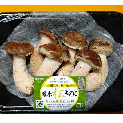 【ふるさと納税】上品で深みのある味わいの「松きのこセット」【配送不可地域：離島】【1466309】