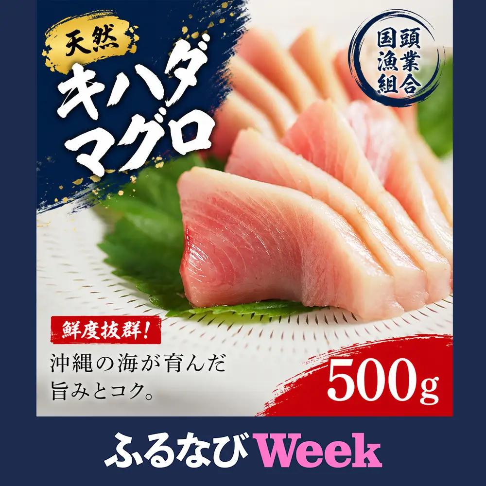 【ふるなびWEEK対象】【沖縄県産】天然キハダマグロ 500g_マグロ_【配送不可地域：離島】【1579280】