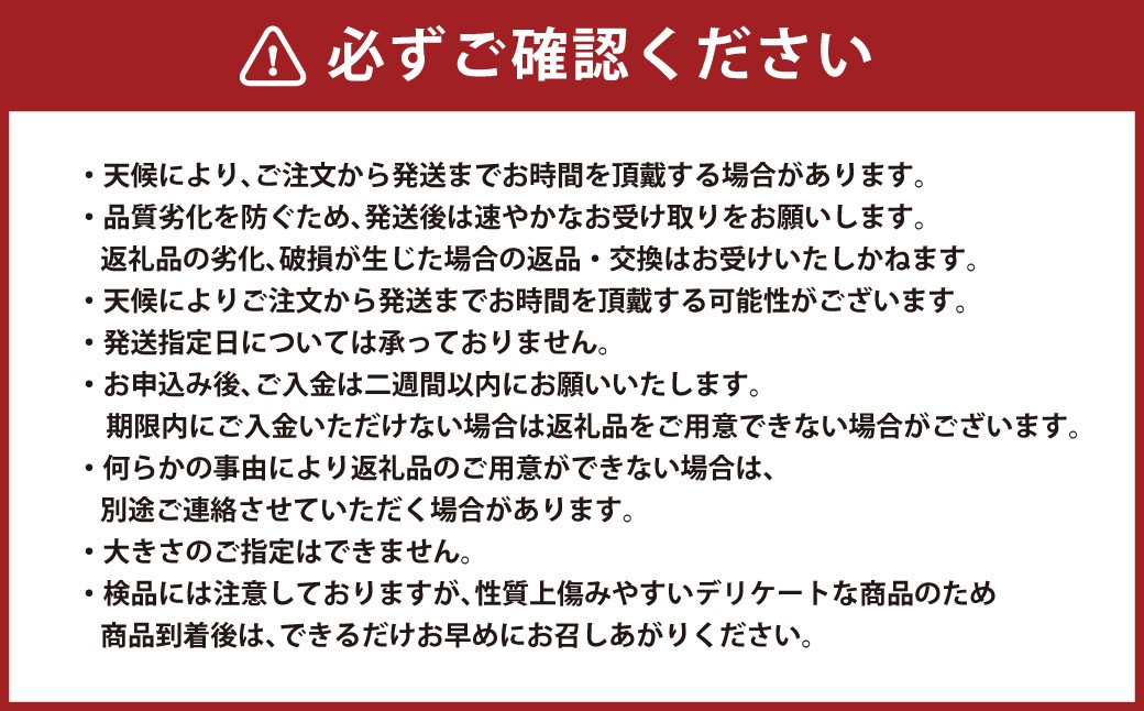 【鹿児島県産】【A品】 ナス 3kg なす 茄子【2025年7月上旬から9月下旬発送予定】 ZS-786