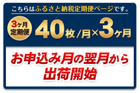 【3ヶ月定期便】訳あり一番摘み有明海産海苔40枚  《お申込み月の翌月から出荷開始》熊本県産（有明海産）全形40枚入り 長洲町