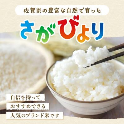 ふるさと納税 鹿島市 【令和7年産】佐賀県産 さがびより 玄米 30kg×1袋 |  | 01