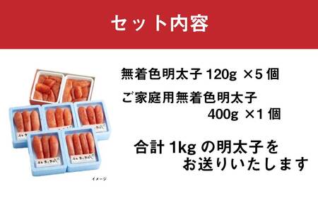 博多あごおとし 小分けで便利な 福岡名物辛子明太子 合計１ｋｇ 072-166