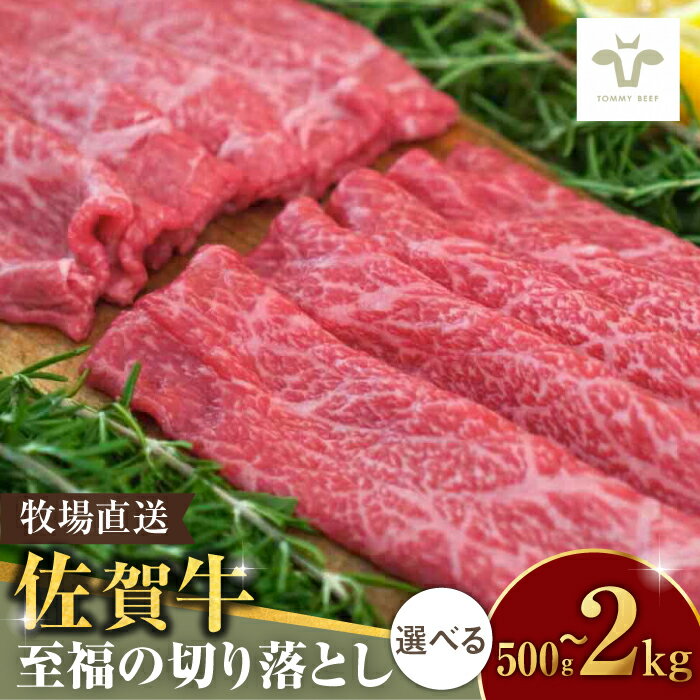 【ふるさと納税】【12/22（日）までのお申込みで年内お届け】【年内発送】【選べる内容量】佐賀牛切り落とし / 佐賀牛 牛肉 切り落とし ロース モモ カタ バラ 赤身 すき焼き しゃぶしゃぶ 小分け / 佐賀県 / 有限会社佐賀セントラル牧場 [41ASAA021]