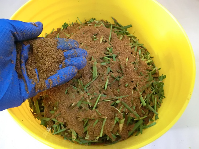 家庭菜園が楽しくなる！生ゴミ処理剤「EMぎんが」1kg×4袋【1364】