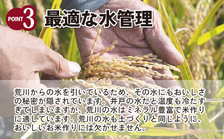 【令和5年産】埼玉県産 彩のきずな 5kg 【ブランド米 埼玉ブランド お米専用化粧箱  白米 国産 お米】