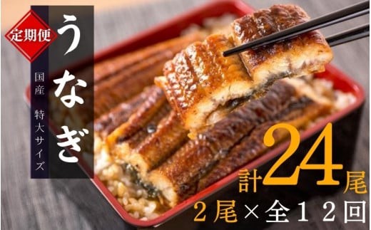 
                  【12回定期便】【毎月お届け】大型サイズ ふっくら柔らか 国産うなぎ蒲焼き 2尾×12回 計24尾 約4080g / 定期便 うなぎ 鰻 国産 蒲焼 蒲焼き うな重 うな丼 ひつまぶし たれ 人気 贈答 贈り物 ギフト プレゼント お祝い 冷凍便 クール便 【tkb311】
                