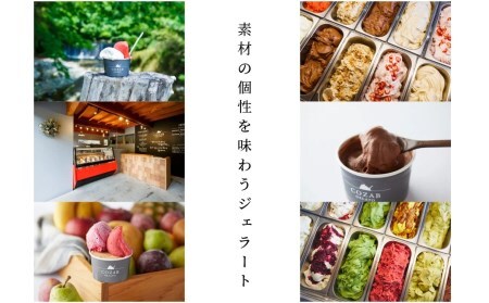 ジェラート おすすめ 6個 セット  隔月定期便 全3回 手作り アイス 国産 詰め合わせ COZAB GELATO cb-gesxx6_tk3 ※沖縄・離島への配送不可