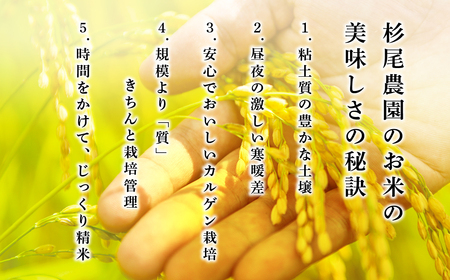 【予約】令和7年産　お米　コシヒカリ　丹波篠山産　じっくり精米20kg (5kgx4袋) | 兵庫県 丹波篠山市 白米 100％単一原料米 産地直送米 贈答 おいしい お米 精米 コシヒカリ ブランド