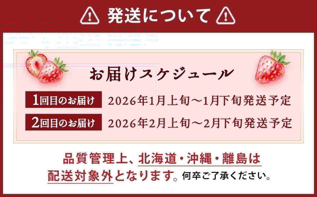 【2回定期便】いちご「あまおう」 約270g×4パック 合計 約2,160g 【2026年1月上旬順次発送開始予定】