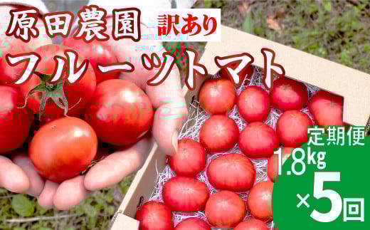 【5回定期便】 訳あり フルーツトマト 原田農園 1.8kg （12月下旬～5月頃発送）＜2025年12月下旬頃より順次発送＞