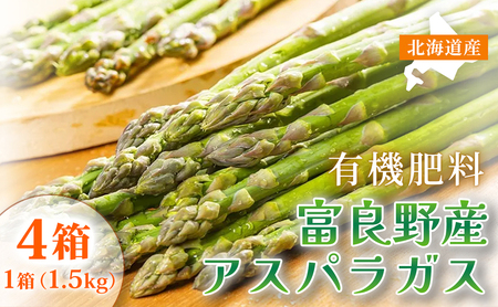 【春野菜 鮮度抜群 】富良野産 アスパラガス サイズ無選別 1.5kg×4箱｜北海道富良野市 4～5月上旬発送 シャキシャキ食感 贅沢 ギフト プレゼント アスパラ グリーンアスパラ 料理用 業務用 春季限定