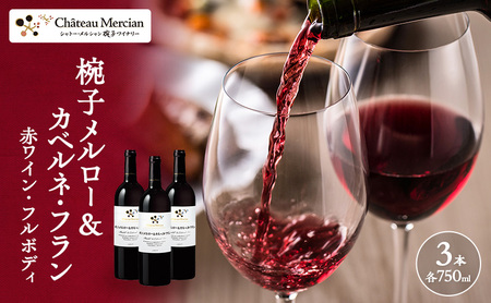 ワイン 椀子メルロー カベルネ・フラン 750ml 3本 ワイン
