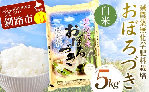 減農薬9割減 ・ 化学肥料不使用おぼろづき 5kg 白米 北海道産 米 コメ こめ お米 白米 玄米 通常発送 _F4F-9428
