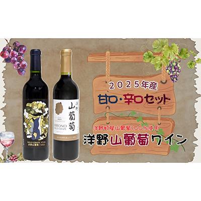 ふるさと納税 洋野町 【2025年産】洋野山葡萄ワイン 720ml(甘口・辛口 2本セット)各1本