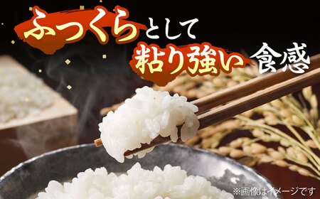 【R7年度産】壱岐産米 にこまる 10kg [JCZ017] 米 お米 ごはん ご飯 にこまる 特A お弁当 30000 30000円 のし プレゼント ギフト 九州
