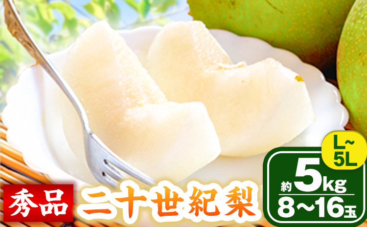 なし 梨 秀品 二十世紀梨 約5kg(8〜16玉) 高間商店《8月下旬-10月上旬頃出荷》鳥取県 八頭町 果物 フルーツ 和梨