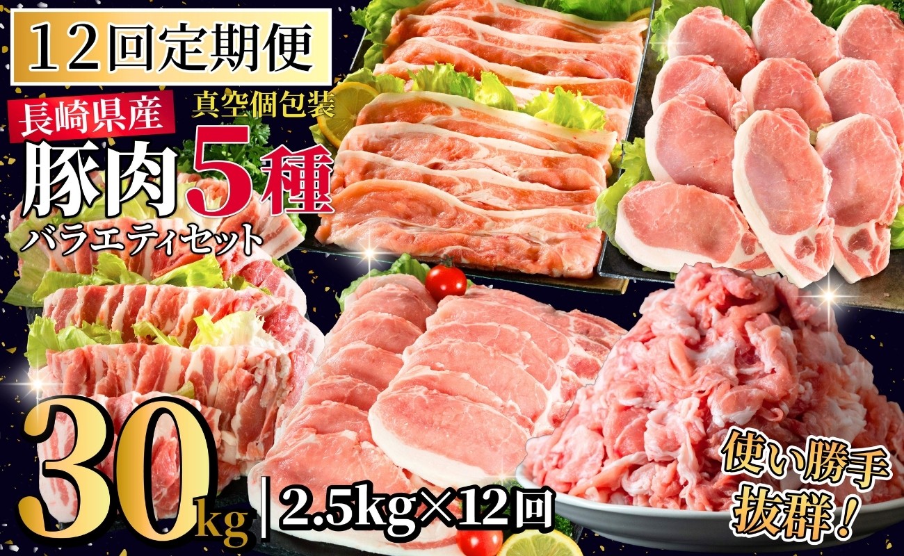 
            B620《定期便》長崎県産豚 バラエティ 5点セット 総計2.5kg【12回お届け】
          