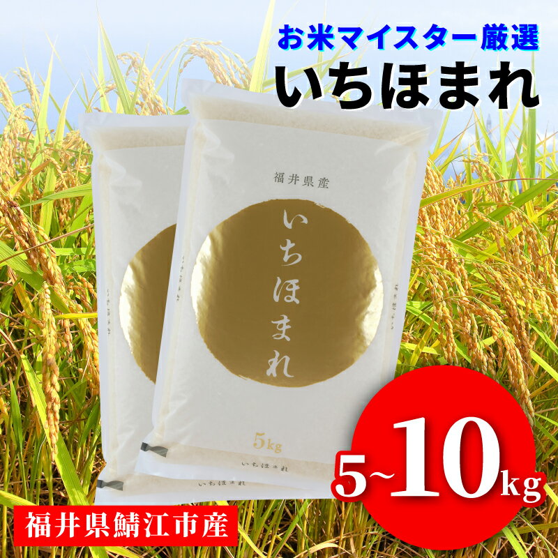【ふるさと納税】 令和7年産 いちほまれ [C-02015] / お米 精米 白米 小分け 便利 ごはん コメ ブランド米 人気 品種 特A 5kg 10kg こしひかり コシヒカリ