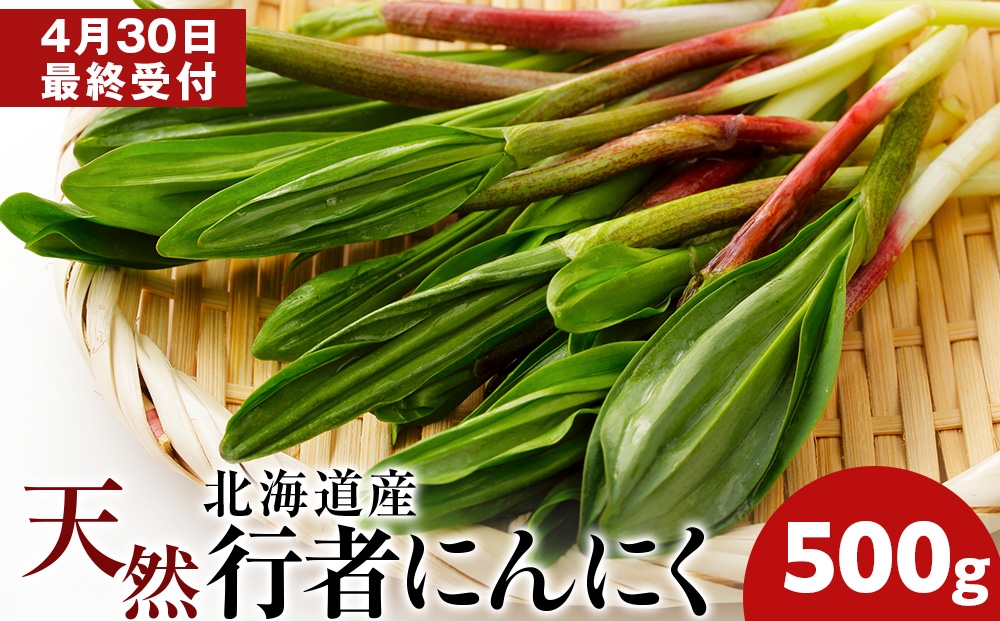
                  天然行者にんにく　500g
                