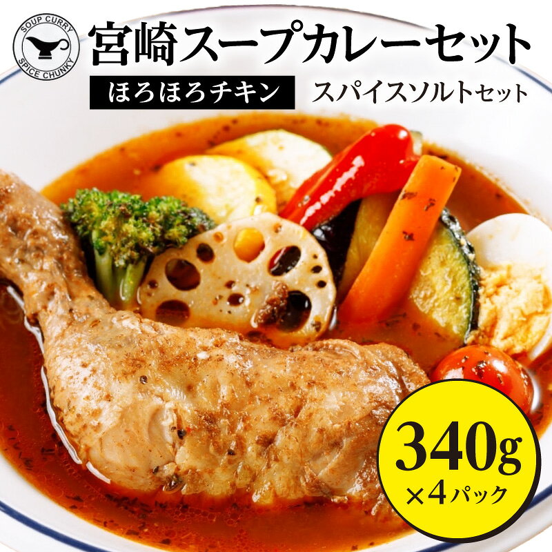 【ふるさと納税】宮崎 スープ カレー セット スープカレー ほろほろ チキン 真空 冷凍 パック 真空パック スパイス ソルト 地頭鶏だし 万能スパイス 骨付きチキン 丸ごと1本 オリジナルスパイス グルメ お取り寄せ 宮崎県 宮崎市 送料無料