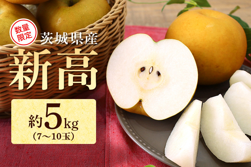 
            【数量限定 / 夏季限定】 梨（新高）約5kg 梨 なし ナシ 日本梨 にいたか ニイタカ 17-Y 【9月中旬～下旬発送予定】
          