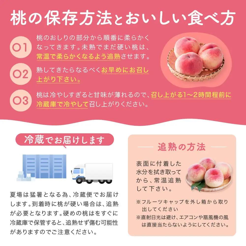 ［農園直送］朝採れ和歌山の桃　約2kg・秀品★2027年6月下旬頃～8月上旬頃順次発送★［TM167］