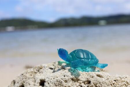 カメフィギュア[DP20]