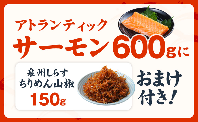 アトランティックサーモン 600g+おまけちりめん山椒150g【小分け ポーション 柵切 ちりめん 刺身 魚介 海鮮 さーもん 生食 お試し】 G3806